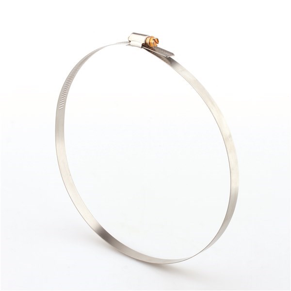 HS164 MH/HS Series Perforated Band, Part Stainless Steel Tridon