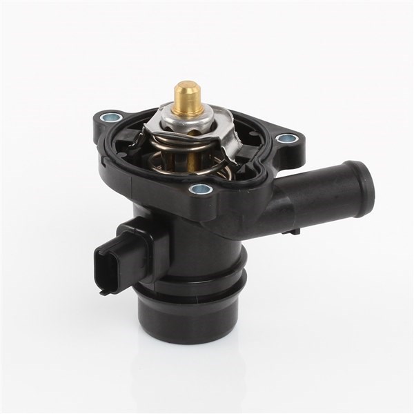 TT730-221 - Thermostat | Tridon