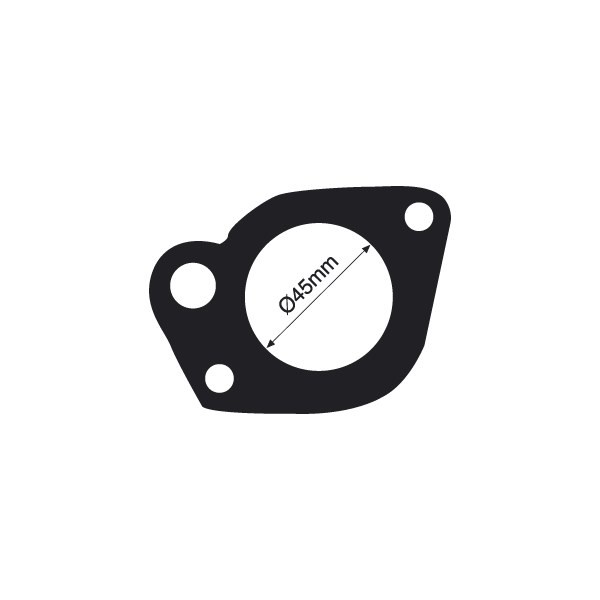 TTG6 Thermostat Gaskets Tridon