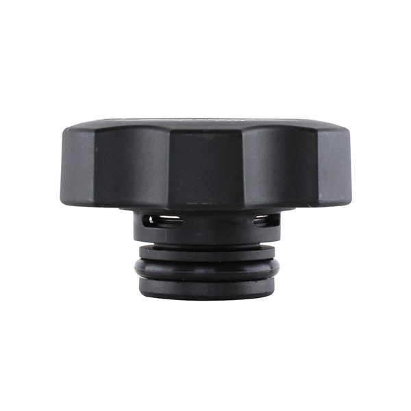 DM15100 Radiator Caps Tridon