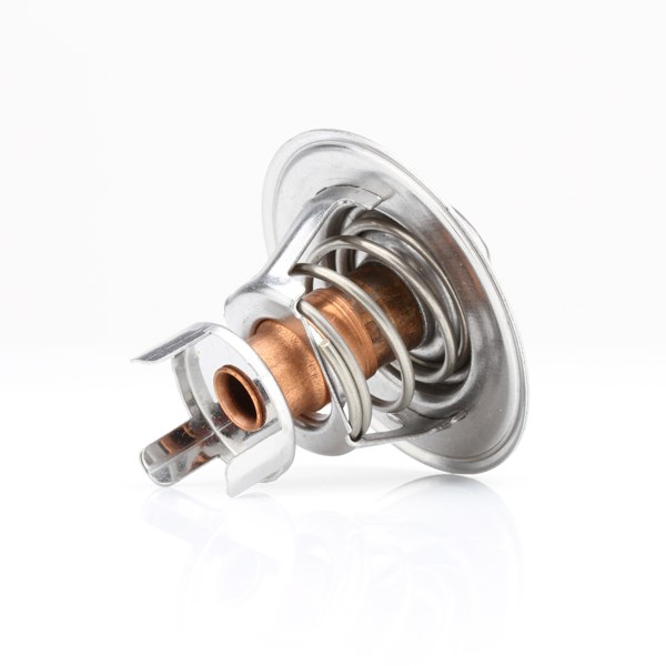 TT224-195 - Thermostat | Tridon