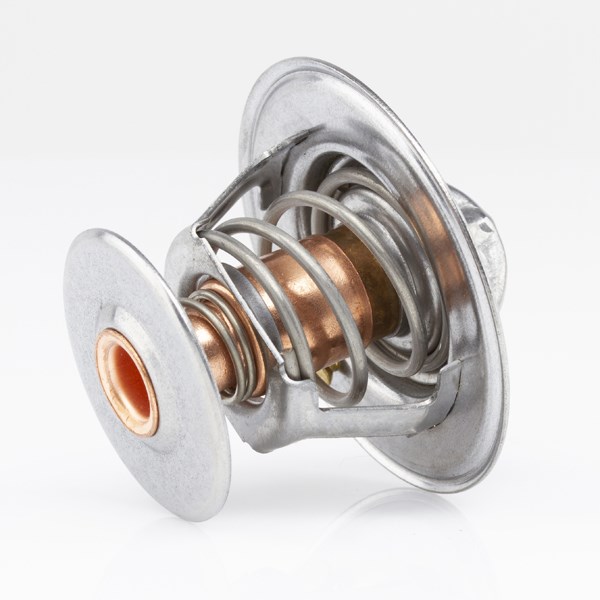 TT234-195 - Thermostat | Tridon